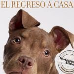 La razón de estar contigo