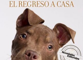 La razón de estar contigo