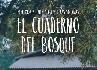 El cuaderno del bosque de Dulcinea (Paola Calasanz)