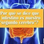 ¿Por qué se dice que el intestino es nuestro “segundo cerebro”?