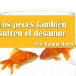 Los peces también sufren el desamor