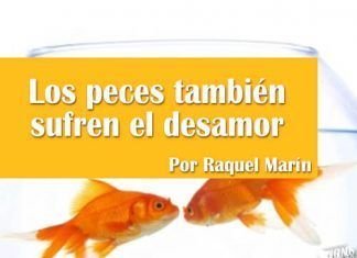 Los peces también sufren el desamor