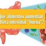 ¿Qué alimentos aumentan la flora intestinal “buena”? ¿Qué alimentos aumentan la flora intestinal “buena”?