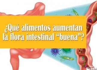 ¿Qué alimentos aumentan la flora intestinal “buena”?