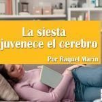 La siesta rejuvenece el cerebro La siesta rejuvenece el cerebro Raquel Marin