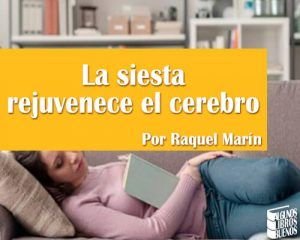 La siesta rejuvenece el cerebro Raquel Marin