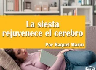 La siesta rejuvenece el cerebro Raquel Marin