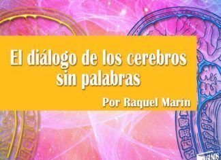 El diálogo de los cerebros sin palabras