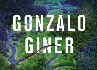 La bruma verde Gonzalo Giner