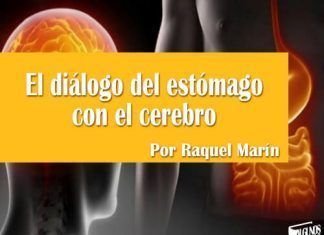 El diálogo del estómago con el cerebro