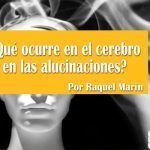 ¿Qué ocurre en el cerebro en las alucinaciones? ¿Qué ocurre en el cerebro en las alucinaciones?