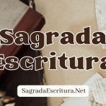 La Santa Biblia Sagrada Escritura Net