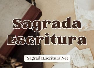 Sagrada Escritura Net